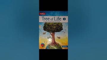 Balbir mam, EVS, Class- 2, Chapter- 12 Our Surroundings (Theory, Part-1)