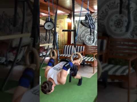 Maltese ,Victorian workout