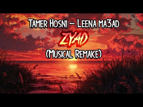    3 تامر حسنى لينا معاد  
