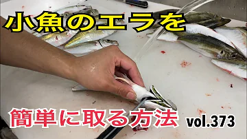 魚エラ動き方 Mp3
