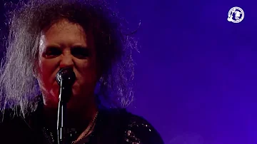 The Cure RAH 2014 (TCT)