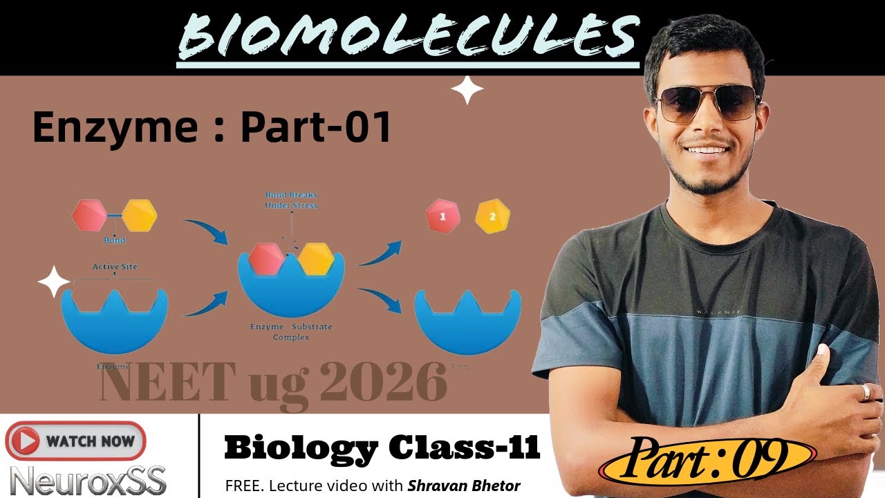 Enzyme   || Biomolecules Part-09 || Class 11 Biology