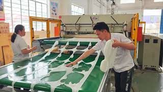 Auto hydraulic roll belt feeding release paper roll die cutting press