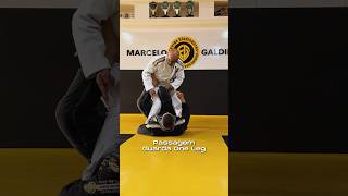 SURPREENDA SEU OPONENTE COM ESSA PASSAGEM DA GUARDA ONE LEG