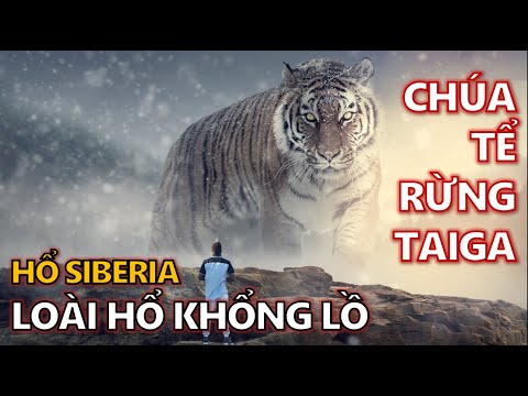 Video: Chính Giáo hội đã chống lại việc dịch Kinh thánh sang tiếng Nga