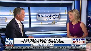 Senator David Perdue Discusses Immigration Framework On The Ingraham Angle