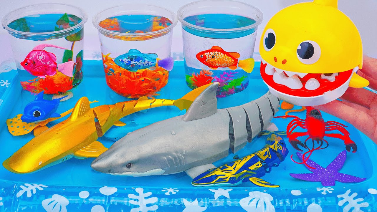 Toy ASMR | Unboxing RC White Shark & Gold Baby Shark & Sea Animal Aquarium 💛Water Toy Fun 🎣