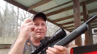 BSA Sweet 22 Range Report
