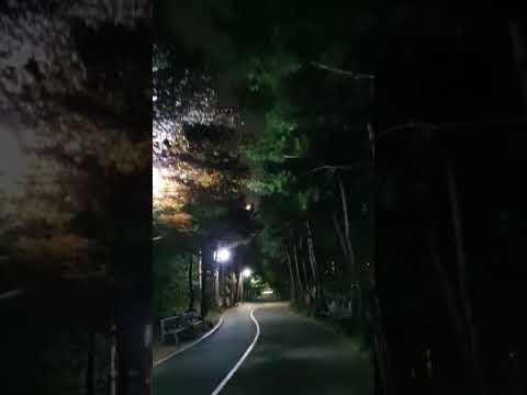 210919 layone ins live 래원 라방
