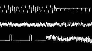 C64 Rob Hubbard's "ThunderCats" oscilloscope view