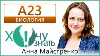 А23 по Биологии Демоверсия ГИА 2013 Видеоурок А23 по Биологии Демоверсия ГИА 2013 Видеоурок