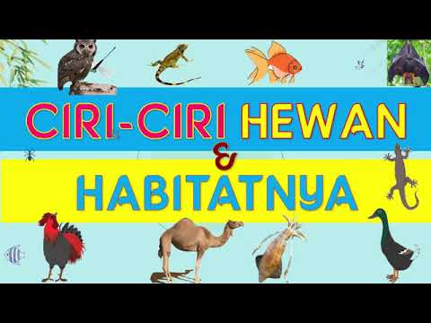 Ciri Hewan dan Habitatnya