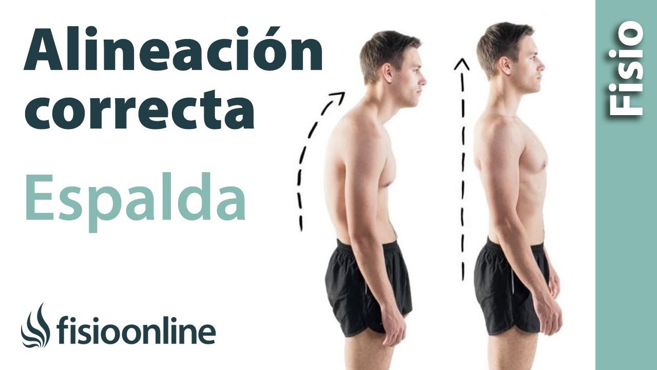 fisiologia respiratoria Corrige tu columna con una alineación correcta de la espalda