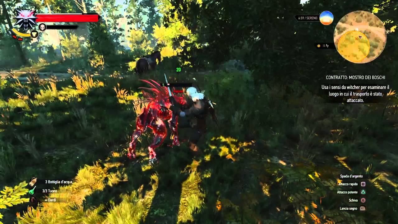 The Witcher 3: Wild Hunt - Quen Bug - YouTube