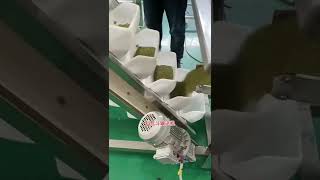 Inclined bucket conveyor