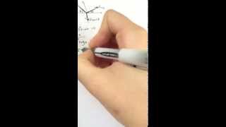 Test wrapper 2, Part1 Net Worth