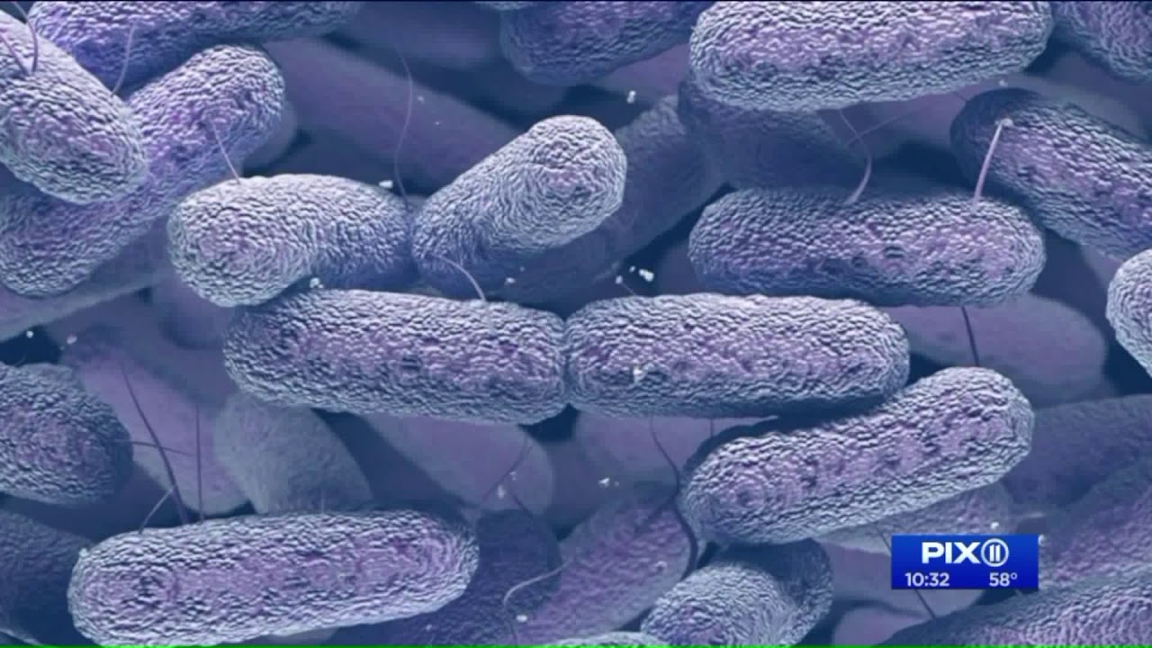 PIX11 finds potentially dangerous bacteria in bathroom hand dryers