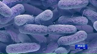 PIX11 finds potentially dangerous bacteria in bathroom hand dryers citywide
