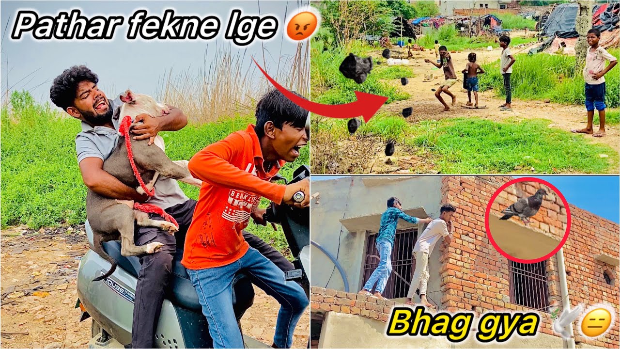 Finally Pitbull Dog kar liya Chori 😮 || Basti walo se phadda hogya 😑