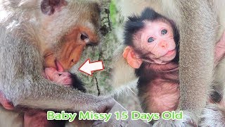 Fantastic So Beautiful Tiny Baby Missy With So Cute Eyes That Mama Mai Lick Every Days