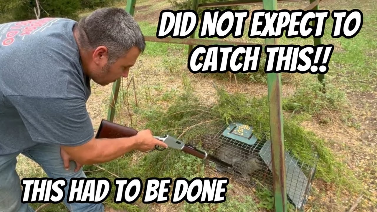 The Predator Problem Is Worse Than What We Thought YouTube the-predator-problem-is-worse-than-what-we-thought-youtube