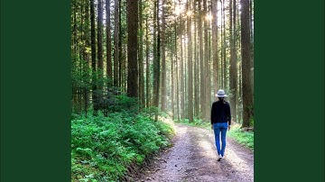 Dashing Backdrops for Deep Relaxation