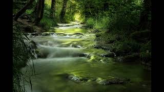 Die Forelle Ellen Und Dave