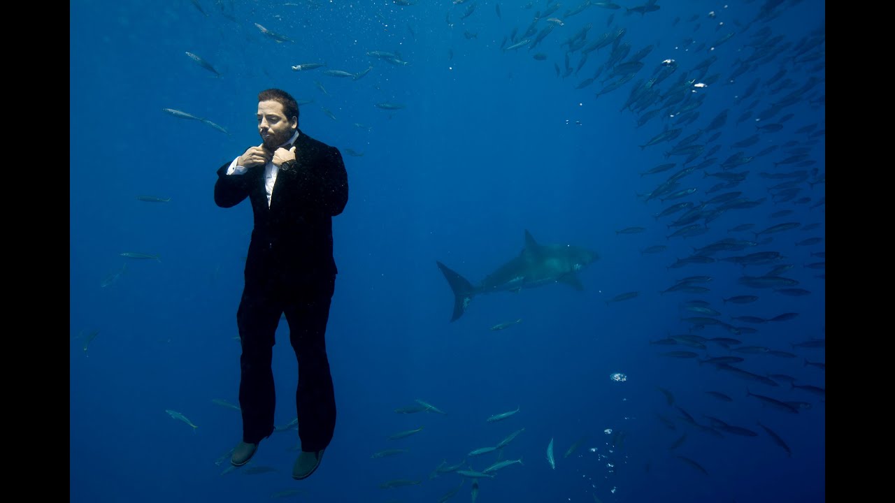 Swimming with Sharks | David Blaine