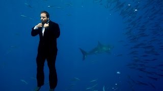 Swimming with Sharks | David Blaine