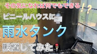 〇〇パイプで水を誘引！私の雨水の溜め方　多肉植物用