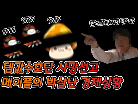   메이플 템값수호단마저 사망한 메이플의 무너진 경제상황