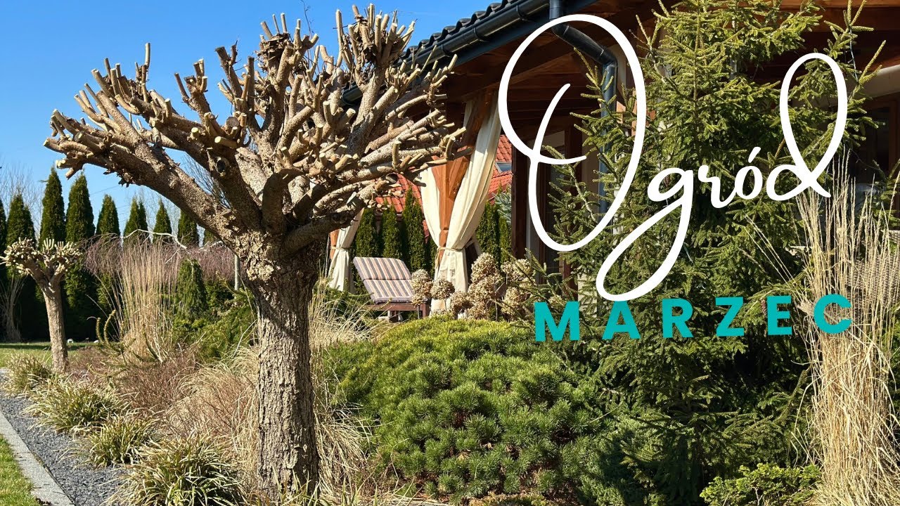 Marzec w ogrodzie - jakie prace ogrodowe warto wykonać w marcu ?