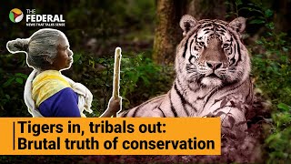 Hidden cost of tiger conservation: Tribes losing homes