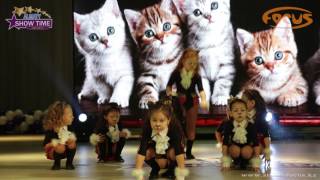 Мандаринки - Озорные котята | Танцевальный конкурс "Show Time" | Алматы 2016 Мандаринки - Озорные котята | Танцевальный конкурс "Show Time" | Алматы 2016