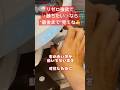 リゼロ強欲で勝ちたい？なら最後まで見てね！リゼロ強欲"完全攻略“#リゼロ #パチンコ #完全攻略 #兼業パチプロのヨッチ #釘読み #期待値 #パチプロ #リゼロ2