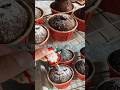 メリクリ🎄チョコレートカップケーキが美味しくてたまらない〜〜 #christmas #cupcake #shorts