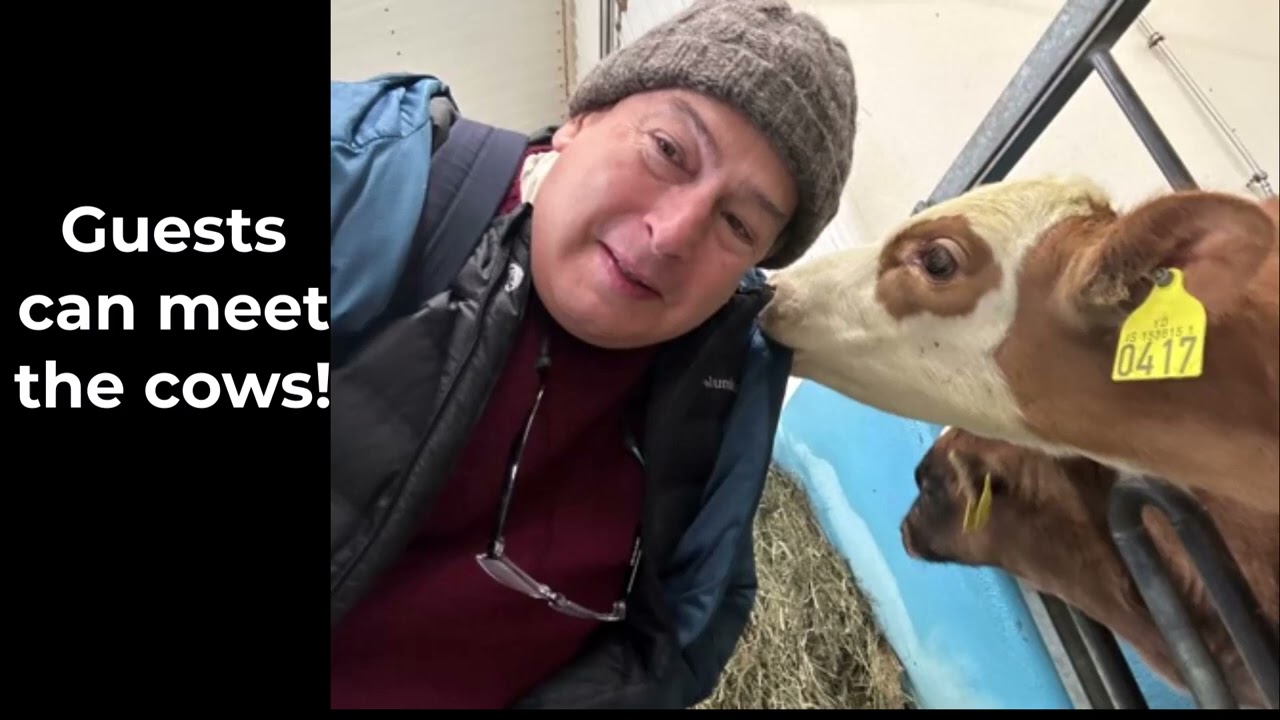 Iceland Bed and Breakfast on a Real Farm