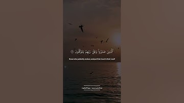 #عبدالرحمن_مسعد #العنكبوت #تلاوات_خاشعة #تلاوة_خاشعة #تلاوة #تلاوات #كل_نفس_ذائقة_الموت