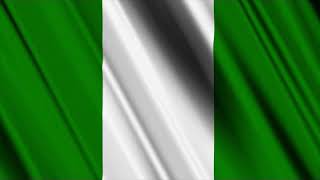 Wavy Nigerian flag screenshot 2