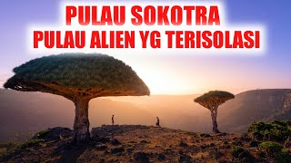 FAKTA UNIK PULAU SOKOTRA / PULAU SOCOTRA PULAU ALIEN