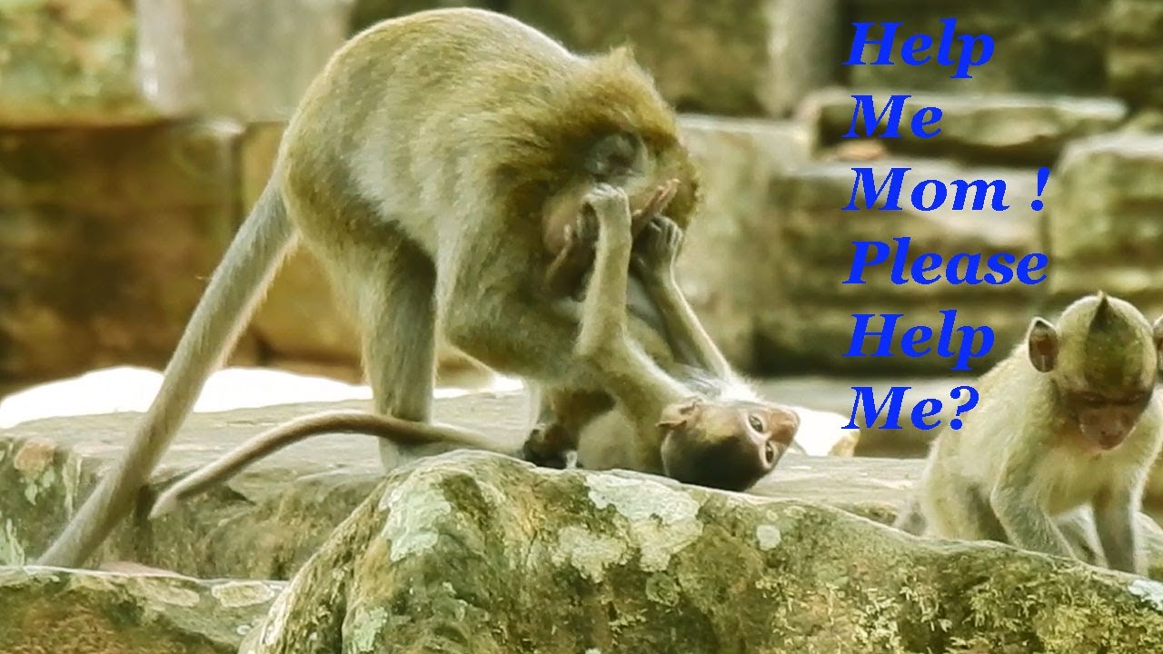 OMG! Dee Dee Forget She Is The Old One Playing with Baby Mia, So Hard To Move Baby Try Hard