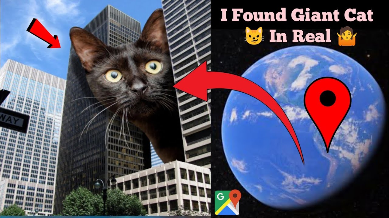 I Found Giant Cat 😼 Reel On Google Earth 4D Maps 