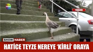 Hatice teyze nereye 'Kirli' oraya