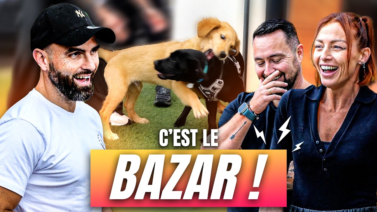 2 Chiots, 1 Chat : À L'AIDE ! 😱 ft. @L'atelier de Roxane