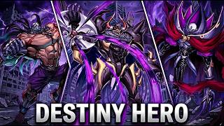 DESTINY HERO Is FAR SUPERIOR | MDPRO