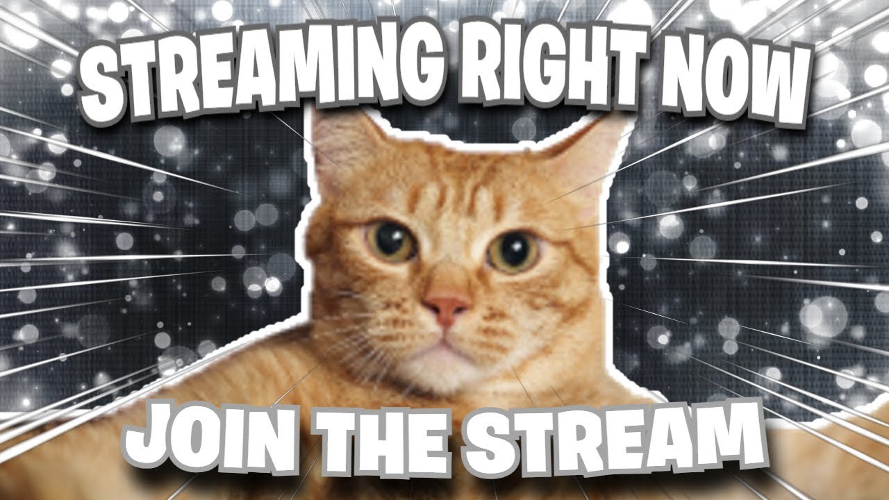 🔴[LIVE]🔴 STREAMING RIGHT NOW JOIN UP! - YouTube