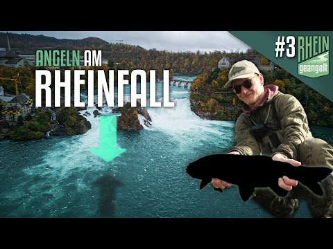 What Will We Catch at the Rhine Falls? 🇨🇭 Fishing the Rhine / From Source to Mouth / Episode 3