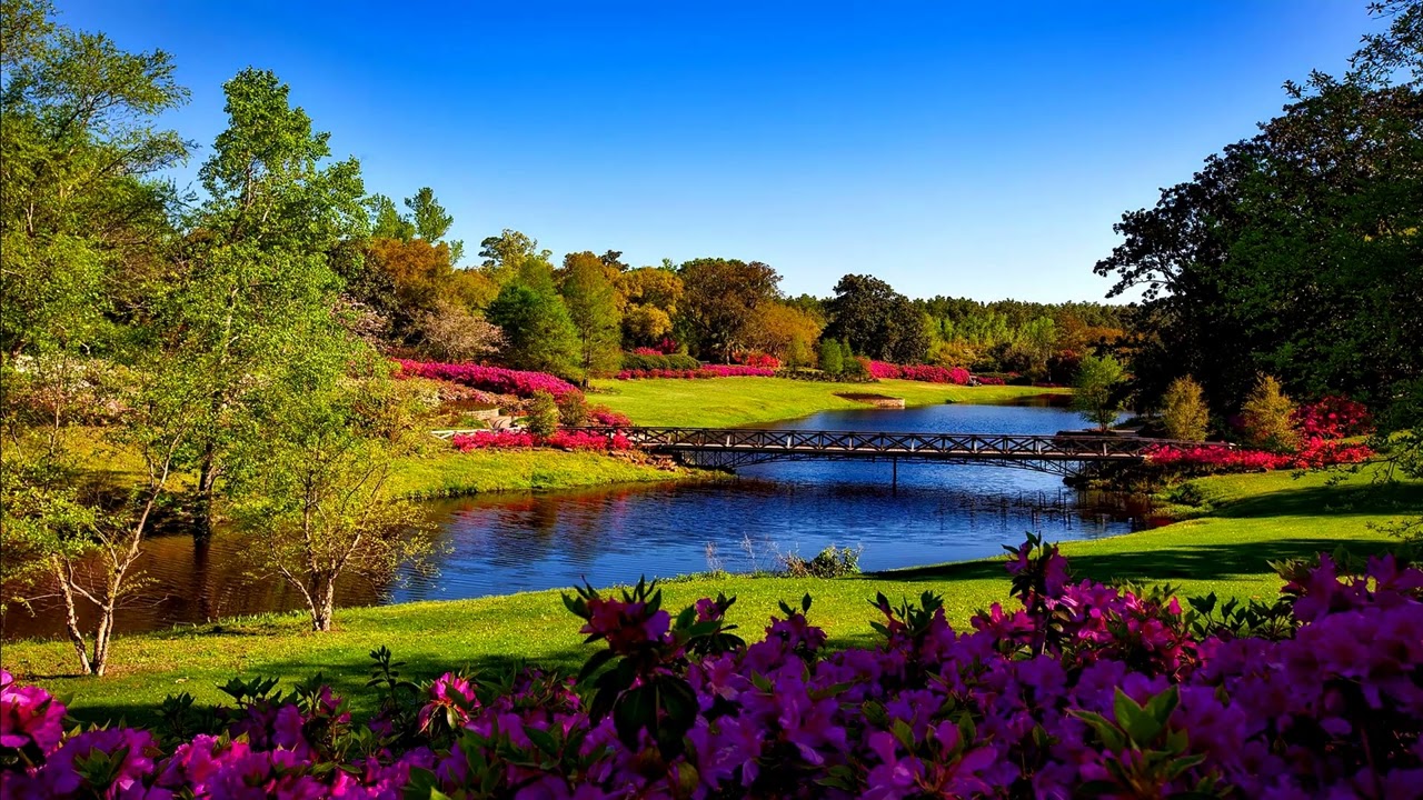 Bellingrath Gardens Alabama ~ Beautiful Nature Landscape ~ Instrumental Music for Background
