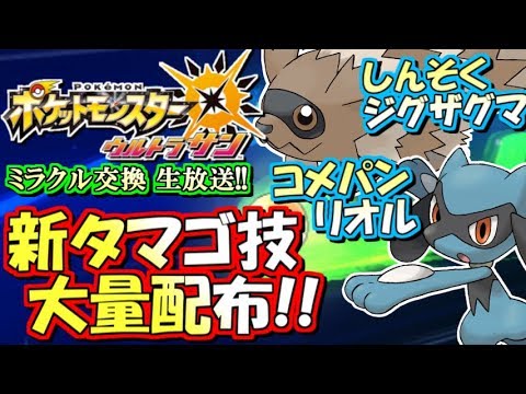 ポケモンusum ポケルス付ポケモン大量配布 ミラクル交換会 ポケモンウルトラサンムーン生放送 1 Youtube