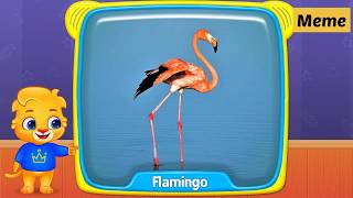 Birds first words for baby | learn birds name | pictures